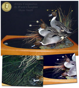 pintails home lg