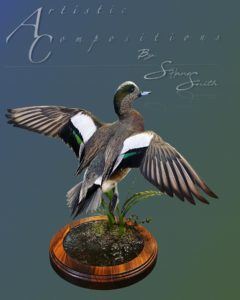 wigeon habitat jump