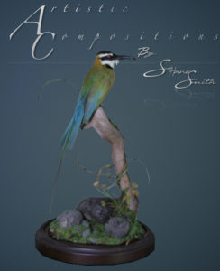 African Bee eater 1