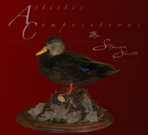 Black Duck Stand on 16 Oval Ice Scene