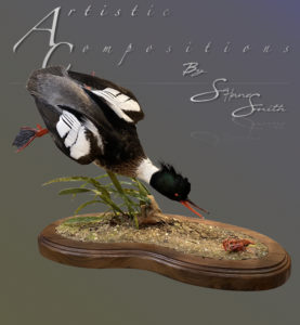 Diving Red Breasted Merganser on oval base with metal reed attachment scaled