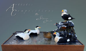 Eiders and Harlequin feeding in a rippled lagoon  scaled