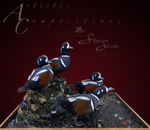 Harlequin Ducks in Shoreline habitat with rippled water scaled