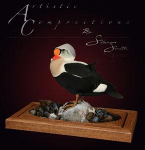 King Eider in Executive case 1