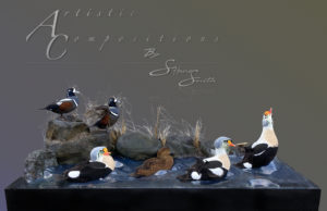 ST Paul Island Sea ducks  scaled