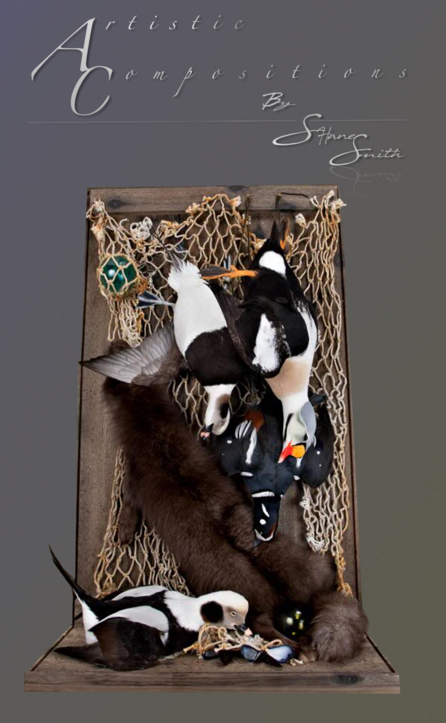 St Paul Island Shadow Box With Glass Including An Arctic Fox Pelt 1 