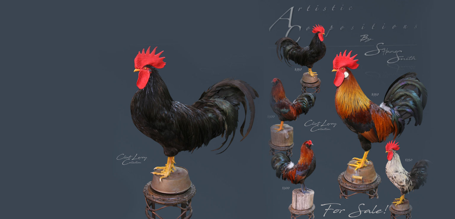 rooster-home-slider