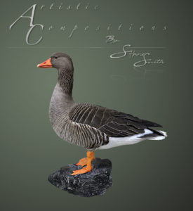 Icelandic Graylag Goose